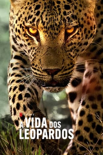 Qualidade MP4 MKV A Vida dos Leopardos (2024) Dual Áudio 5.1 WEB-DL 1080p filme e serie 4K