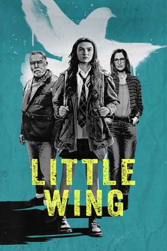 Qualidade MP4 MKV Little Wing (2024) Dual Áudio WEB-DL 1080p filme e serie 4K